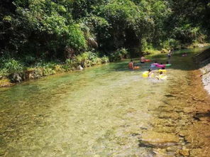 佛冈碧桂园4房轰趴别墅 578元/栋，超值包池送豪礼！