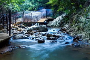 499元探秘漳州仙境 天柱山欢乐大世界、古城与花海的奢华二日游，入住十里蓝山房间享山泉水
